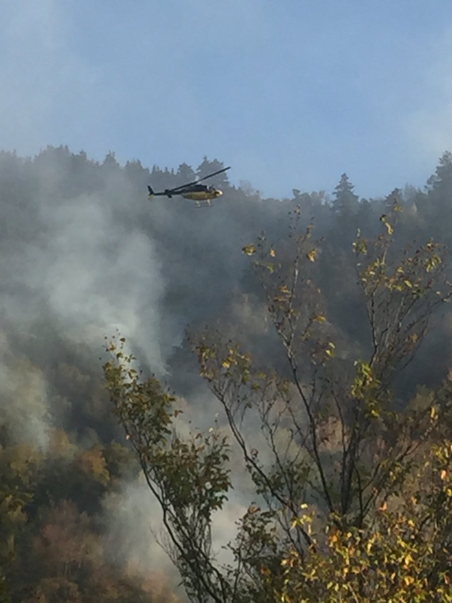 Woodstock fire chief assessing forest fire from helicopter
