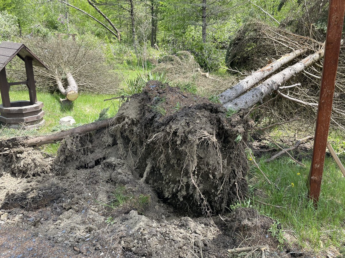 - @NWS confirms a tornado touched down in Charlestown last night with a top wind speed of 90 MPH. Officials say the tornado's strength was EF0, EF1. there were no reports of injuries WMUR